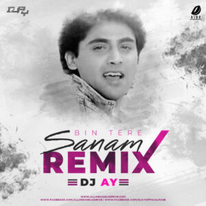 Bin Tere Sanam Remix - DJ AY Bin Tere Sanam Remix | DJ AY | Yaara Dildara | Best Of 2020