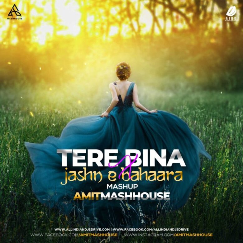 Tere Bina x Jashn E Bahara | Amitmashhouse | Best Of 2020