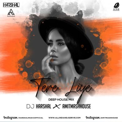 Tere Liye (Remix) - DJ Harshal X Amitmashhouse Free Mp3 Song