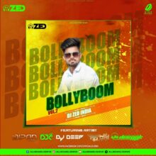 Bollyboom Vol 2 - DJ Zed India 320Kbps Free Album Download