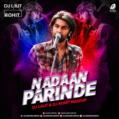 Nadaan Parinde Mashup - DJ Lalit & DJ Rohit Free Mp3 Song