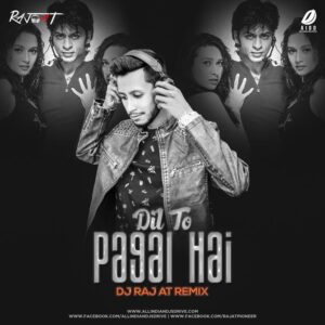 Dil To Pagal Hai (Remix) - DJ Raj AT Dil To Pagal Hai (Remix) - DJ Raj AT 320Kbps Free Download