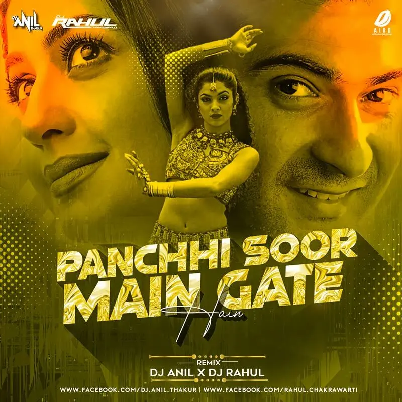 Panchhi Soor Main Gaate Hain Remix - DJ Anil & DJ Rahul