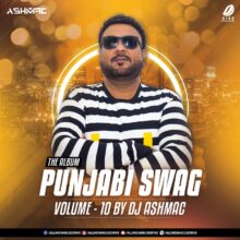 Punjabi Swag Vol 10 (Album) - DJ AshMac Free Download