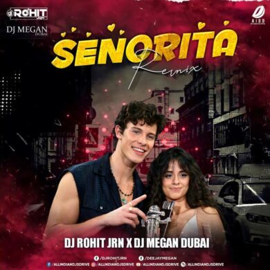 Senorita Remix - DJ Rohit JRN & DJ Megan Dubai FREE MP3