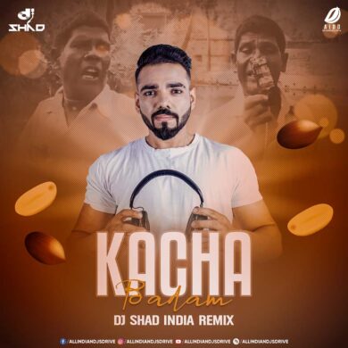 Kacha Badam (Remix 2022) - DJ Shad India Free Download