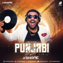 Punjabi Swag Vol. 11 - DJ Ashmac | All Songs Mp3 Download