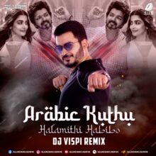 Arabic Kuthu (Remix) - DJ Vispi 2022 Mp3 Free Download