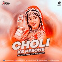 Choli Ke Peeche (Remix) - DJ Srinu BNS & DJ D Wine
