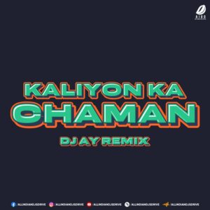 Kaliyon Ka Chaman (Remix) - DJ AY Kaliyon Ka Chaman Remix - DJ AY 2022 Mp3 Free Download