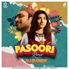 Pasoori Remix - DJ Raney | Latest Punjabi Song 2022