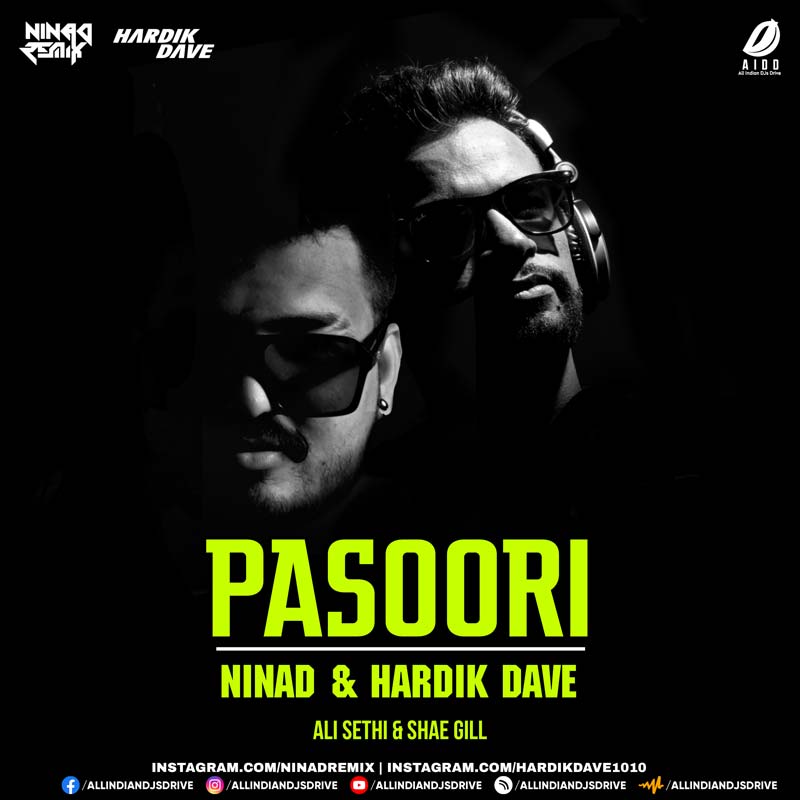 Pasoori (Remix) - NINAd & Hardik Dave Mp3 Free Download