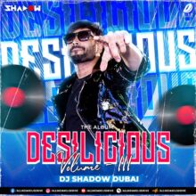 Desilicious 111 - DJ Shadow Dubai 2022 Album Free Download
