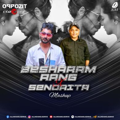 Besharam Rang X Senorita Mashup - DJ Oppozit & DJ Clement