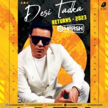 Desi Tadka Returns 2023 - DJ Harsh Bhutani [Bollywood Remix]