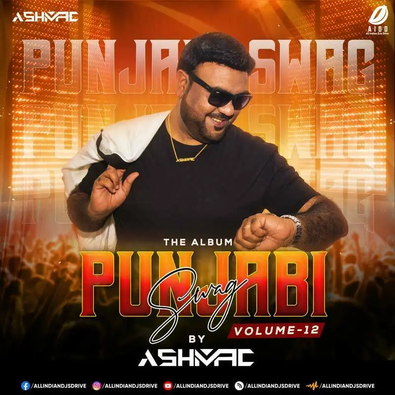 Punjabi Swag Vol. 12 - DJ Ashmac Album 2023 Free Download