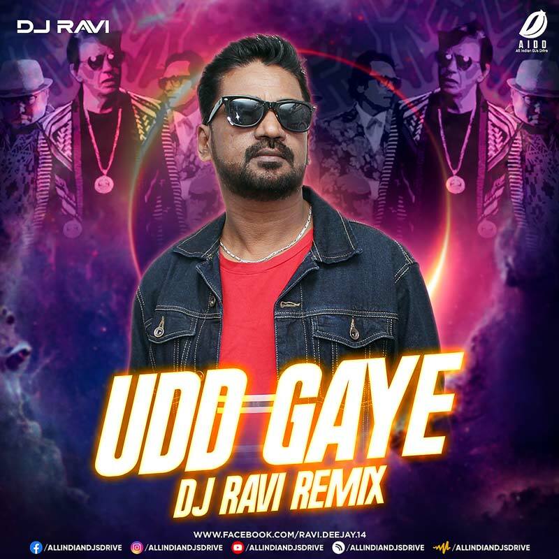 Udd Gaye - Ritviz (Remix 2023) - DJ Ravi Mp3 Free Download