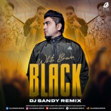White Brown Black (Remix) - DJ Sandy Mp3 Free Download
