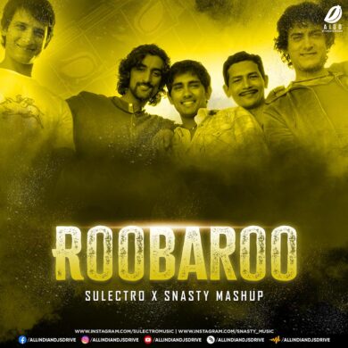 Roobaroo (Mashup) - Sulectro X Snasty Mp3 Free Download