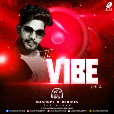 THE ViBE Vol. 2 (Mashups & ReMixes) - DJ SBK [New Album]