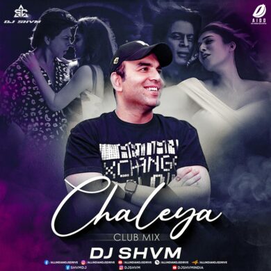 Chaleya (Club Remix 2023) - DJ SHVM Free Mp3 Download