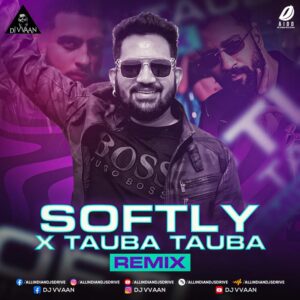 Softly X Tauba Tauba (Mashup) - DJ Vvaan | Best Mashup