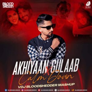 Akhiyaan Gulaab X Calm Down (Mashup) - VDJ Bloodshedder