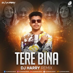 Tere Bina Na Guzara E (Remix) - DJ Harry | Ultimate Vibes