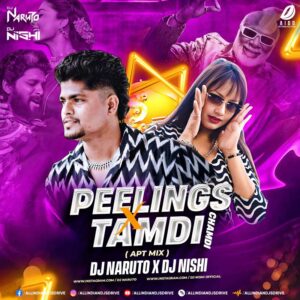 Peelings X Taambdi Chaamdi (Remix) - DJ Naruto & DJ Nishi Peelings X Taambdi Chaamdi (Remix) - DJ Naruto & DJ Nishi