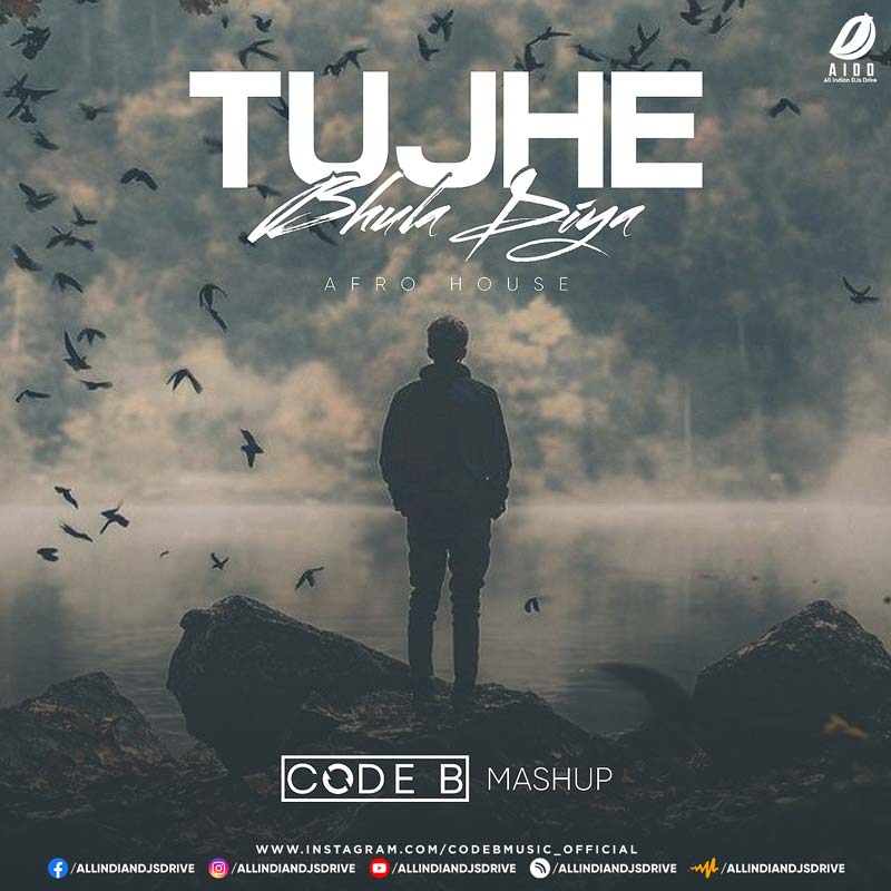 Tujhe Bhula Diya (Afro House) - Code B Mashup 2025 🔥🔥