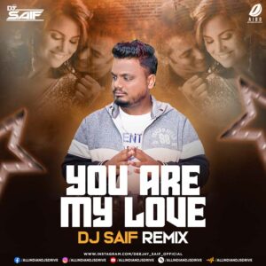 You Are My Love (Remix) - DJ Saif You Are My Love (Remix) - DJ Saif From Partner Movie 👇👇