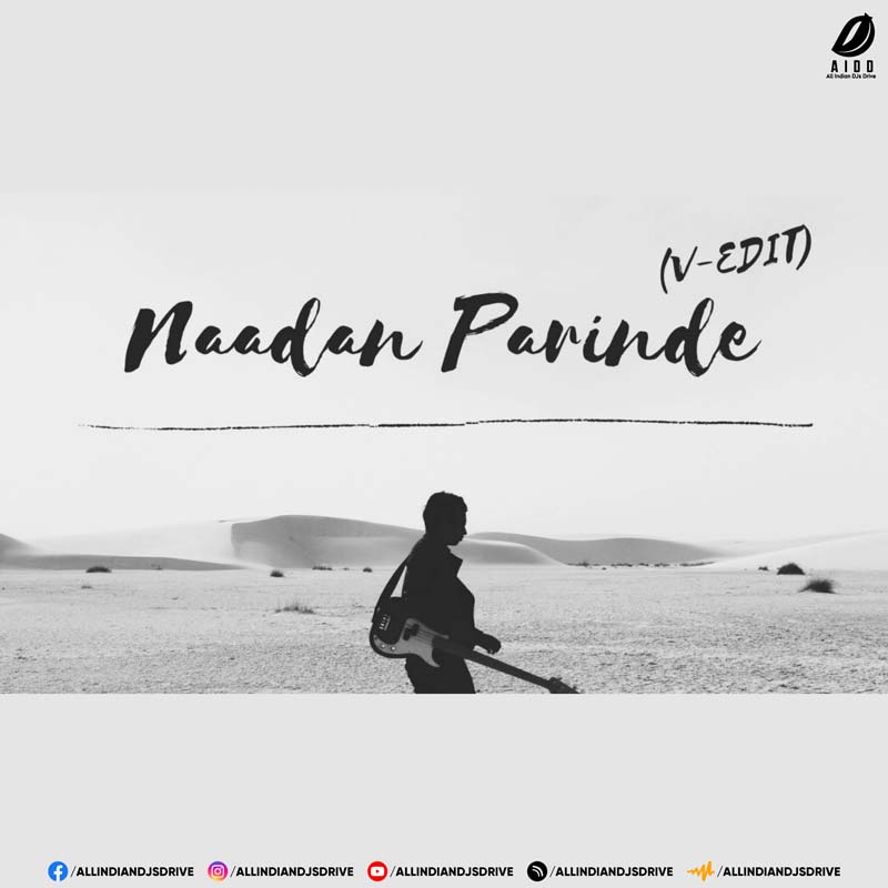 Nadaan Parinde (V-EDIT) | Bollywood Afro House Mix 2025