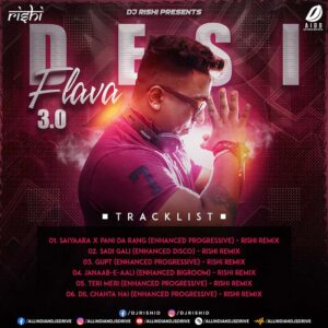 Desi Flava 3.0 - DJ Rishi (Progressive House Albums 2025)