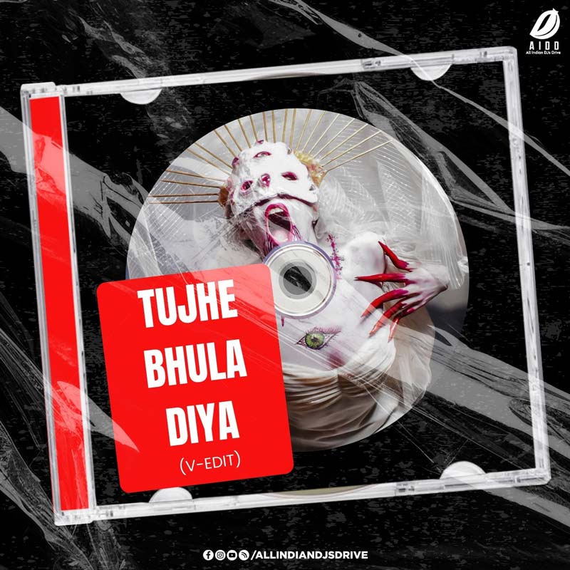 Tujhe Bhula Diya (V-EDIT) : 2026 Bollywood Remix 320Kbps