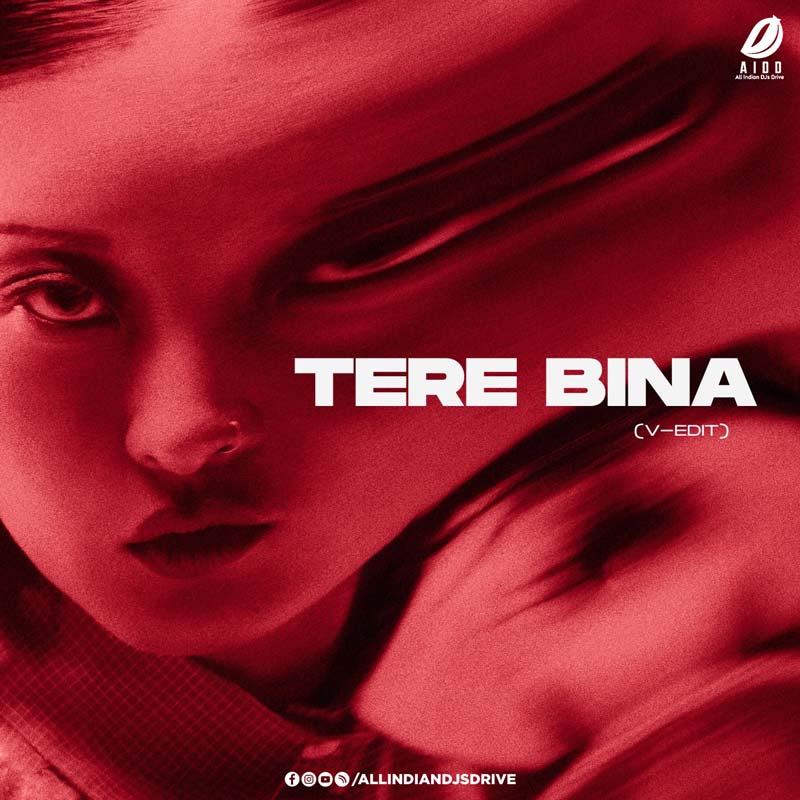 Tere Bina (V-EDIT) | 2026 Bollywood Remix Free Download