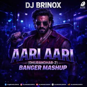 Aari Aari (Banger Mashup) - DJ Brinox (Dhurandhar 2 Songs)